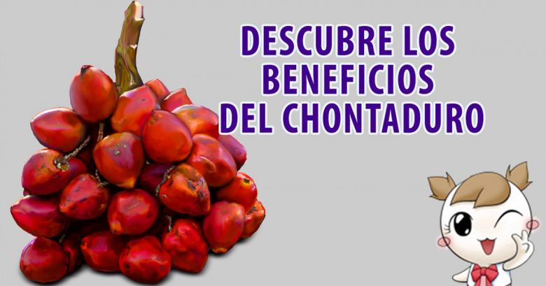 Descubre los beneficios del chontaduro, fruto tropical también llamado \