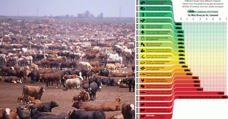 El verdadero efecto del consumo de carne al calentamiento global
