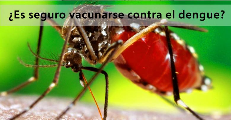 ¿Es seguro vacunarse contra el dengue?
