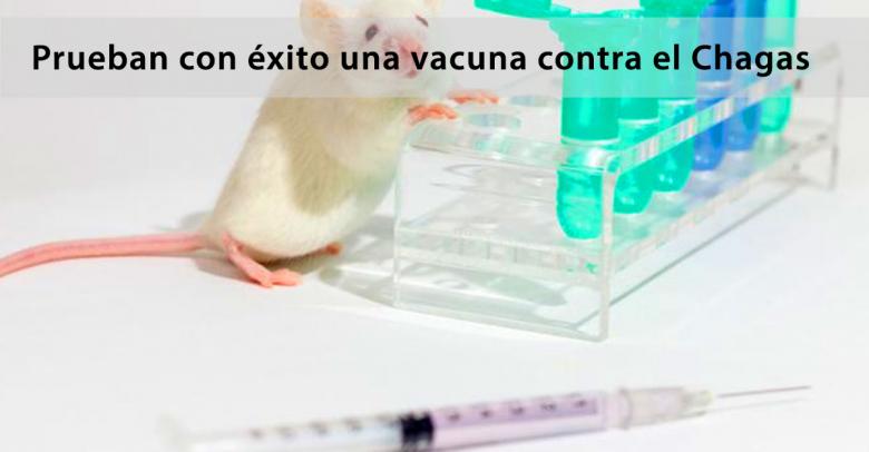 Prueban con éxito una vacuna contra el Chagas