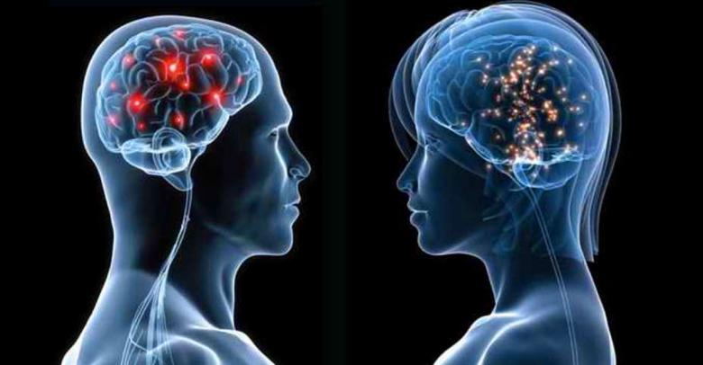 Por qué el cerebro de los hombres es más grande, pero el de las mujeres más eficiente