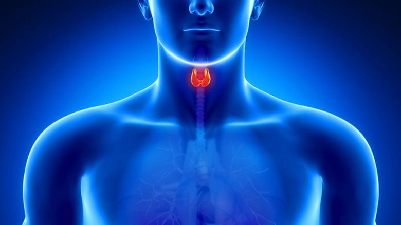 5 signos que indican que podrias tener un problema de tiroides